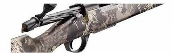 transferir95